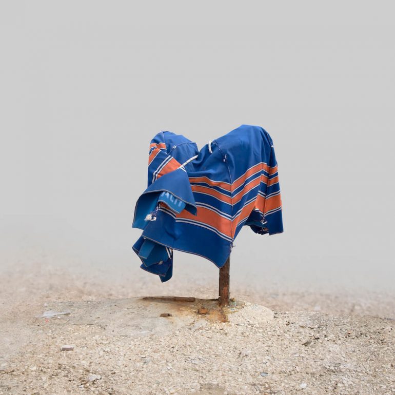 Il giardino dei mostri marini