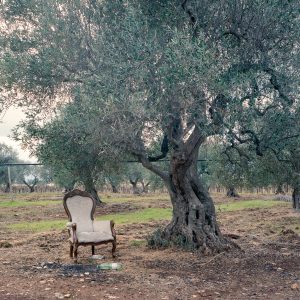 Questa non è una sedia