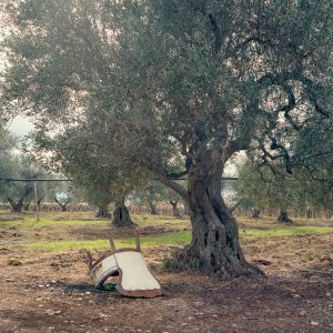 Questa non è una sedia