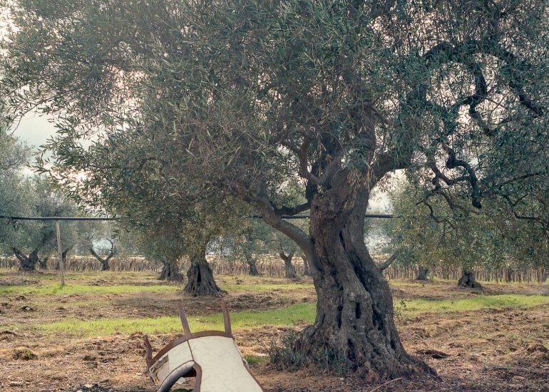 Questa non è una sedia